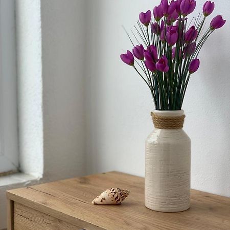 Apartman Dma Tivat Eksteriør bilde